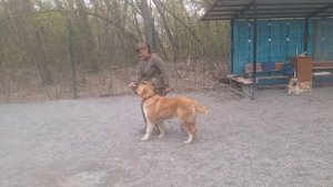 Урок 4