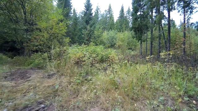 17.09.2022 Охота на глухаря 2 часть смотреть онлайн