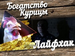 Богатство Курицы: Лайфхак. Да будет свет