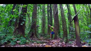 Caribbean adventures. Vermont natural trail in tropical forest.