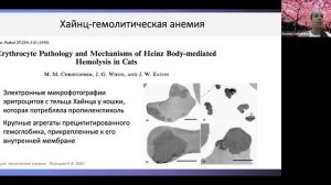 Гемолитические анемии у собак и кошек (ветеринарный семинар)
