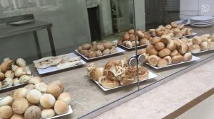 domina Coral Bay Hotel & Resort، شرم الشيخ – أحدث أسعار 2021  еда-отдых!