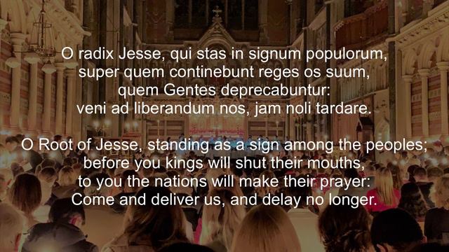 Advent Antiphon O Radix Jesse 19th December 2020 смотреть онлайн