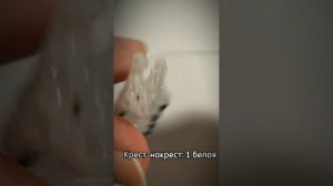?✨Подборка видео из пинтерест 4 мин✨?