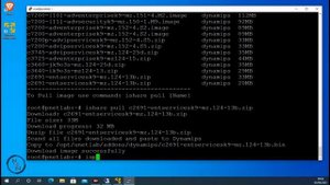 How to Pull/downloads  IOL/IOS FortiOS/Linux/Win  images in PNETLab - pull & Use images