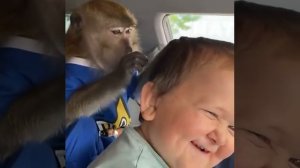 Хасбик и обезьяна, обезьяна надоела уже