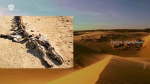 INTERESTING FACTS ABOUT THE SAHARA DESERT[4k]