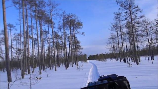 Далеко на Севере.mp4