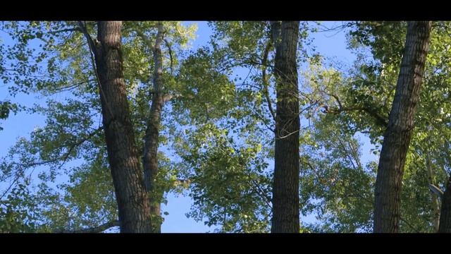 Песня о Родине, о Казахстане. смотреть онлайн