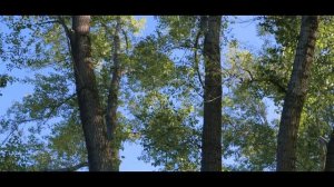 Песня о Родине, о Казахстане.