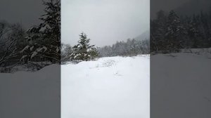 Алексей Шахматов VS о.Дмитрий Смирнов- ну даёт Лексий какая тут правда о вере: слышал звон но не зн