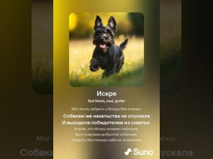 "Искра - блюз" by raush (Авторская песня)