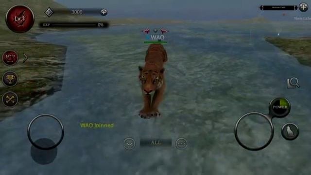 Animals Game, Wild Animals Online's Character Introduction Video