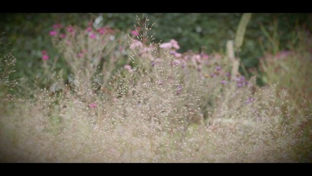 Gardens of the World episode 1: Piet Oudolf "Control and Letting Go" смотреть онлайн