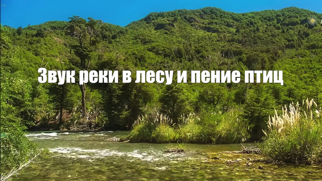 Ручей хейнуойя. Б/о друг чудское озеро. Лесная река. Вода река. Хилья сула тавасшерна «ручей».