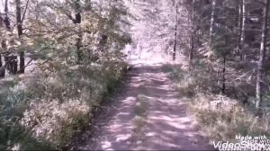 Влог.Выезд-поход на реку Уводь.