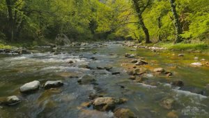 Изменила Мужу На Его Дне Рождения.Так получилось!