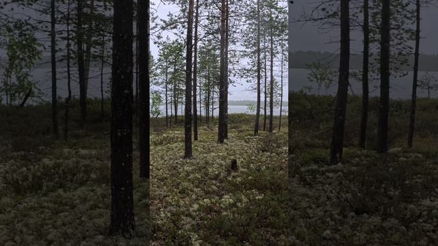 Отдыхаем от городской суеты