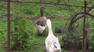 День рождения Саши. 2020