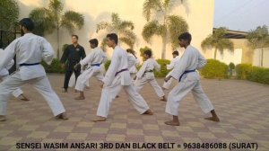 SHOTOKAN KATA 1,2,3,4,5,6,7 | SHOTOKAN KATA VIDEO | SHOTOKAN KATA TRAINIING #shotokankata #karate