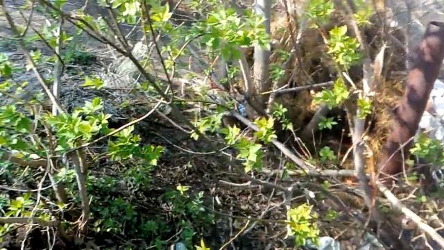 Шалаш из сена смотреть онлайн