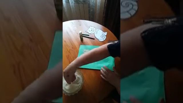 Мастер-класс по аппликации "Кошечка" от воспитателя старшей группы "№1" Братухиной О.Н. смотреть онлайн