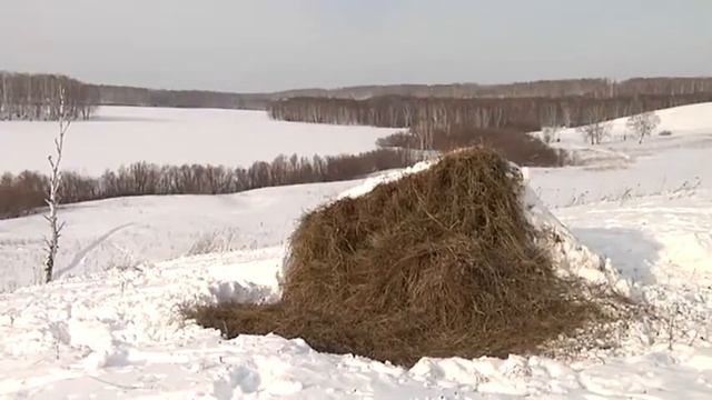Работа охотоведов смотреть онлайн