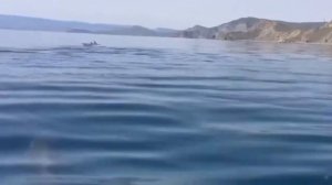 Красивая песня! Ирина Крайдер песня островок.