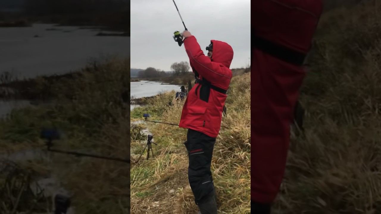 ДОСТАЛ ЛЕЩА в НОЯБРЕ на ФИДЕР смотреть онлайн