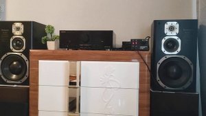 Technics SE-M100