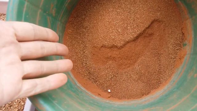 || MY SUCCULENT MIX AND REPOTTING || смотреть онлайн