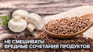 Вредные сочетания продуктов – исключите их из рациона, чтобы похудеть и стать долгожителем