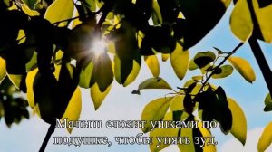 Что такое золотуха Лечение болезни  — Статья