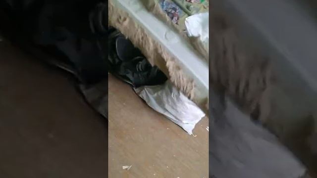 Как приклеить и подрезать потолочный плинтус без тусла,если нет угла 90 градусов.