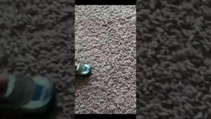 Пытаюсь выбраться из Саратова #мем #побегизсаратова #побег #саратов #хотвилс