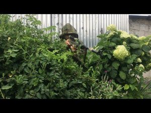 6 советов для охоты с воздушкой! #охота #лайфхак #лайфхаки #охота