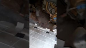 Тойота камри  где находится радиатор печки и как она  расположена!