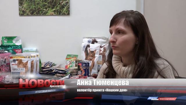 Жители Красноармейска подарили корм приюту для животных