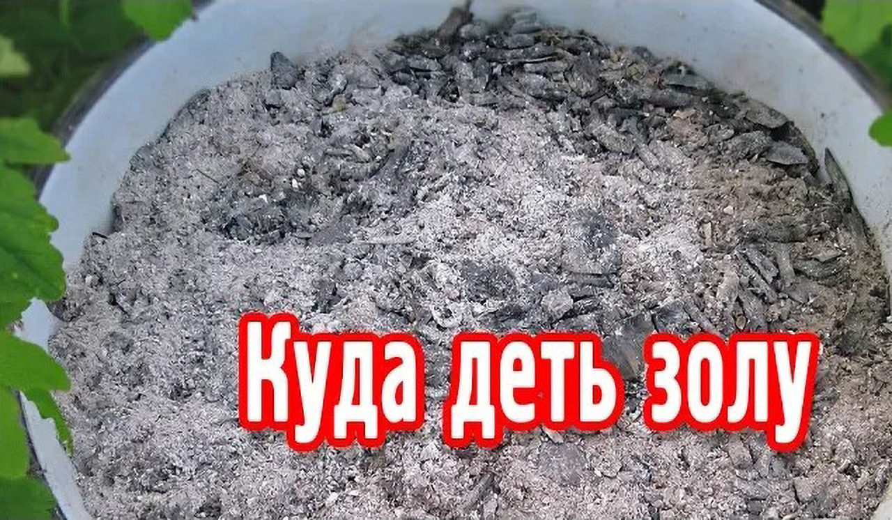 Худшие из золы. Куда девать золу. Угольный золы куда девать. Где можно использовать угольную золу. Куда утилизировать угольную золу.