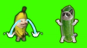 Banana cat and Cucumber cat