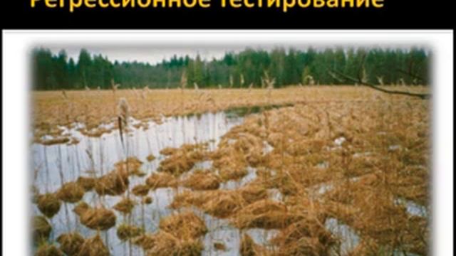 Основы функционального тестирования 3 смотреть онлайн