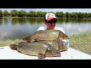 БЕШЕНЫЕ САЗАНЫ РАЗМАТЫВАЮТ КАТУШКИ!!! Вот это ПАРОВОЗЫ!!!  Рыбалка в мошку и жару, в Астрахани!