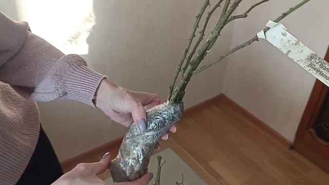 Розомания - посылка 3-я в сезоне 2022 смотреть онлайн