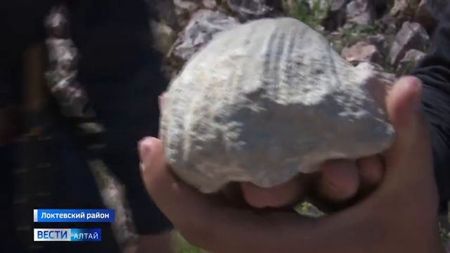 Экспедиция РГО по Алтаю по местам, которые удивляют учёных и туристов смотреть онлайн