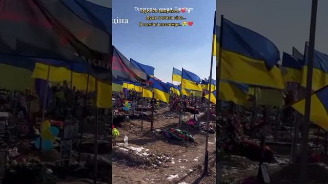 Сотни могил недавно уничтоженных бандеровцев на одном из сельских кладбищ Западной Украины!!!