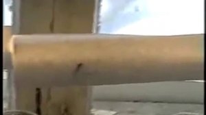 Выращивание помидорной рассады. часть