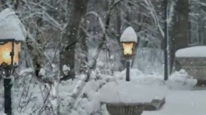 САЛЬВАТОРЕ АДАМО - ПАДАЕТ СНЕГ