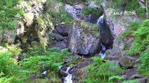 Горный Алтай. Дорога к Черемшанскому водопаду