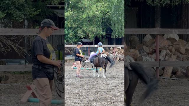 Обучаемся верховой езде 🐎