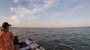 Ловля судака осенью. КУРЬЕЗНЫЙ случай. Поиск судака осенью в ветренну погоду. Судак на джиг. Рыбалк